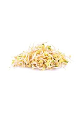 Bean Sprout UAE 500 G